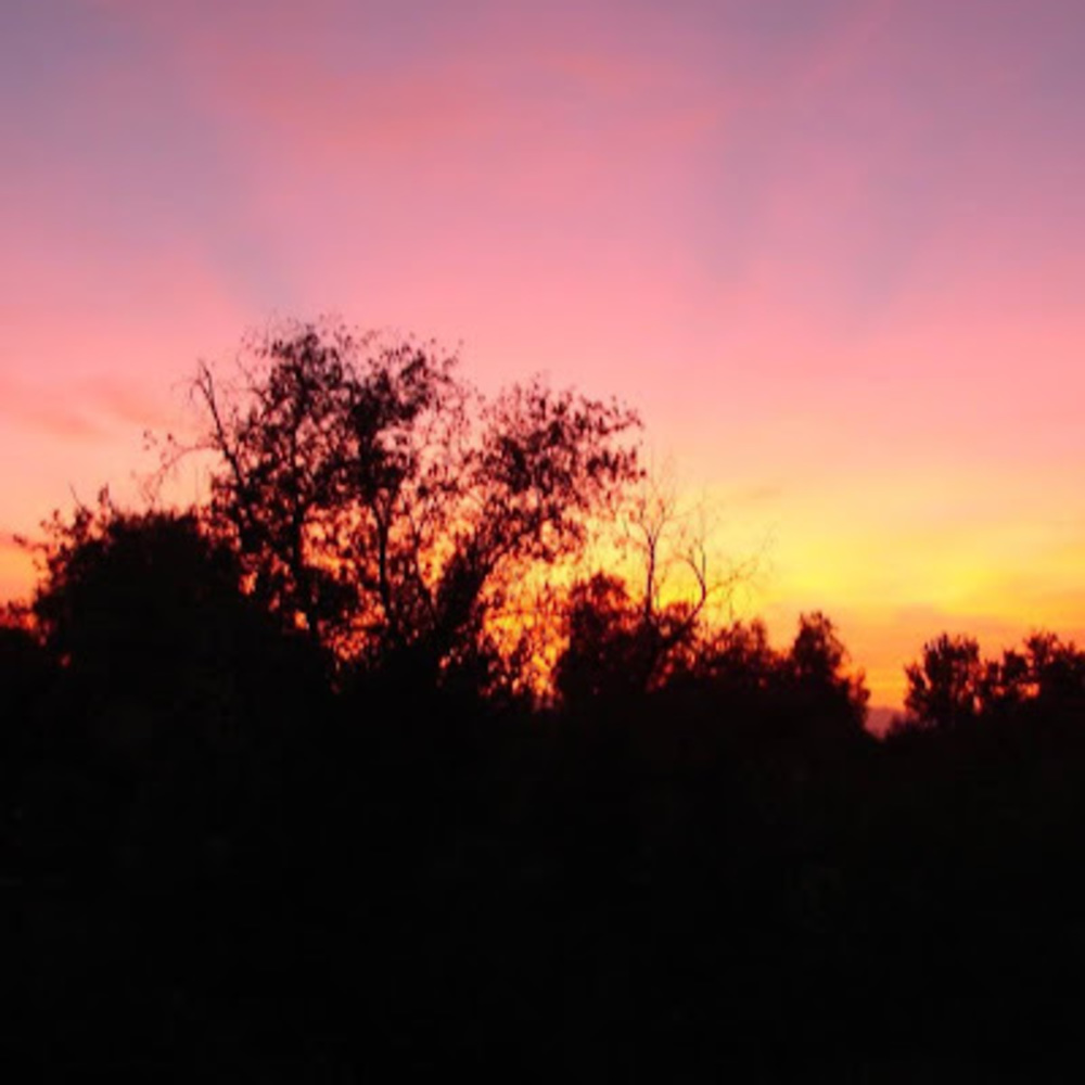 Meet your Posher, Lee